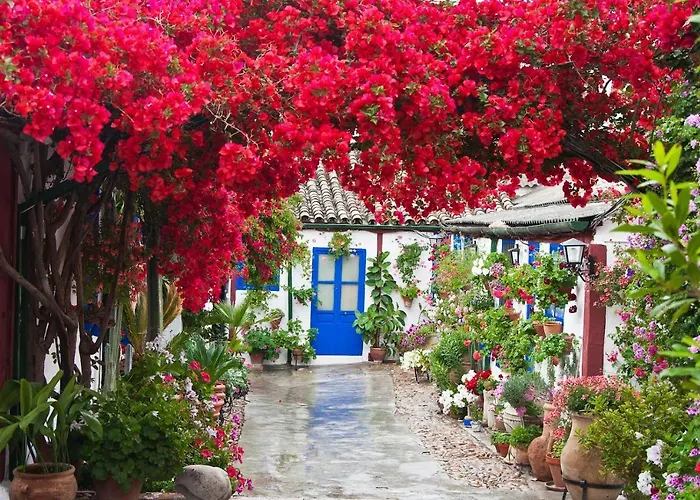 Διαμέρισμα Casa Turistica San Agustin