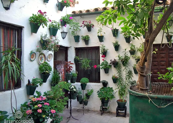 דירה Casa Turistica San Agustin