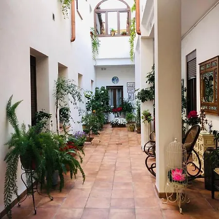 Апартаменти Casa Turistica San Agustin Кордова