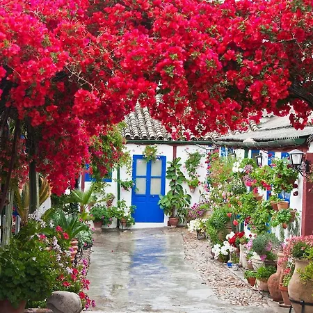 아파트 Casa Turistica San Agustin