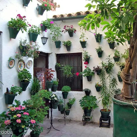 아파트 Casa Turistica San Agustin